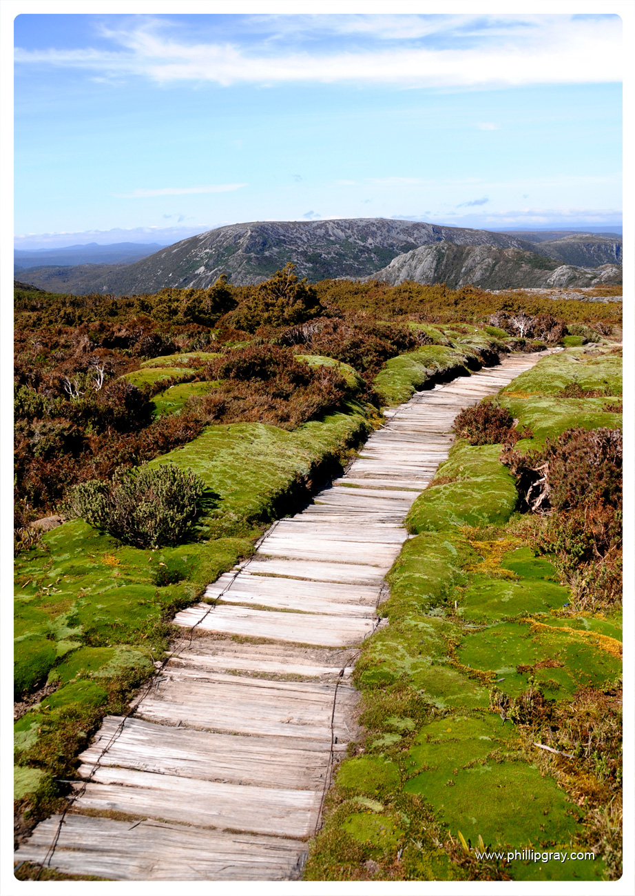 Tasmania Cradle Mountain Paths